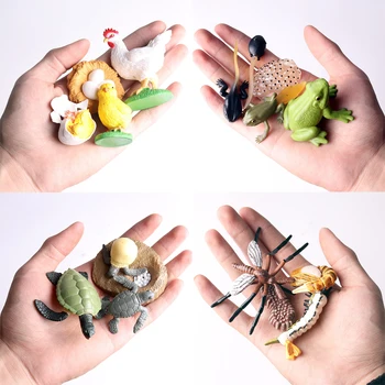 Modeliavimo Sausumos, jūrų, miškų naminių Gyvūnų Modelio Žaislas Mini Gyvūnų Tigras Vištienos Antis Karvė Paukščių PVC Duomenys Lėlės žaislas